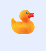 Toy Duck