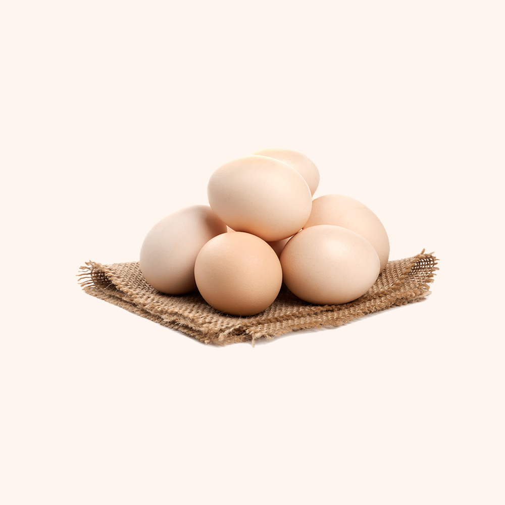 Chicken Egg